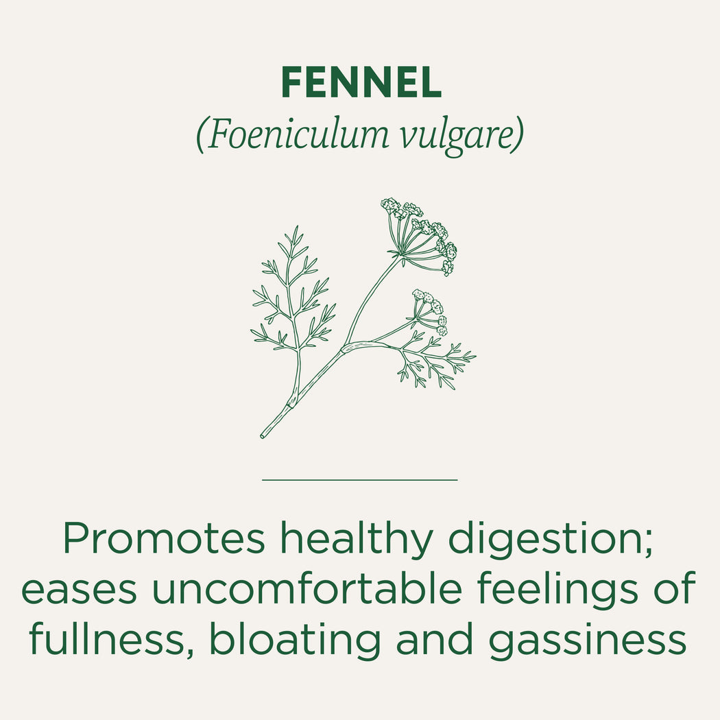 Organic Fennel Tea Traditional Medicinals Traditional Medicinals