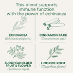 Immune Zoom® Elderberry Echinacea Tea
