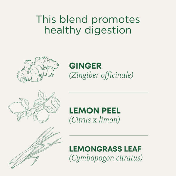 Best Herbs to Support Pregnancy & Breastfeeding | Traditional Medicinals