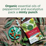 Throat Coat<sup>®</sup> Eucalyptus Mint Lozenges