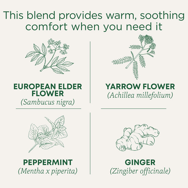 3 Throat Soothing Teas You Need | Traditional Medicinals
