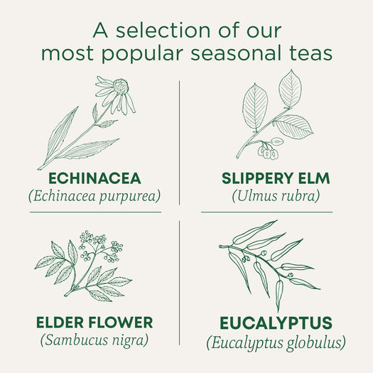 Seasonal Sampler