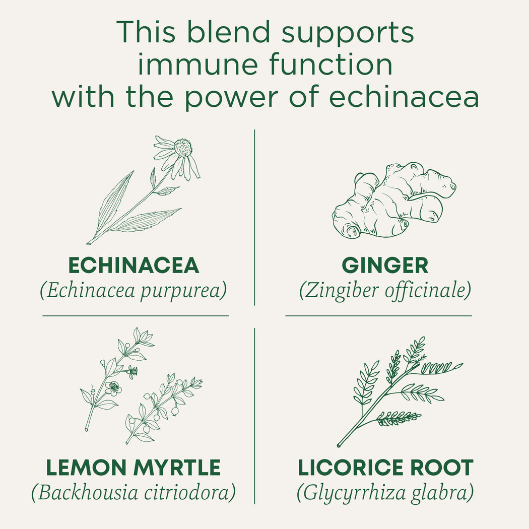 Immune Zoom® Lemon Ginger Echinacea Tea Traditional Medicinals