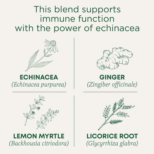 Immune Zoom<sup>®</sup> Lemon Ginger Echinacea Tea