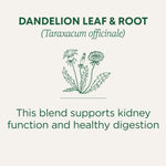 Dandelion Leaf & Root Tea