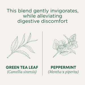 Green Tea Peppermint