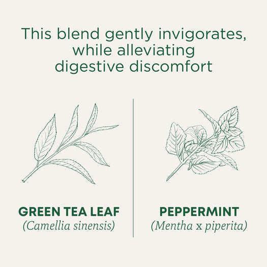 Green Tea Peppermint